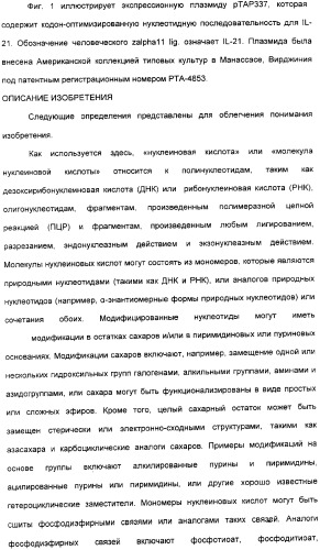 Продуцирование il-21 в прокариотических клетках-хозяевах (патент 2354703)