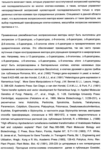 Способ получения полиненасыщенных кислот жирного ряда в трансгенных организмах (патент 2447147)