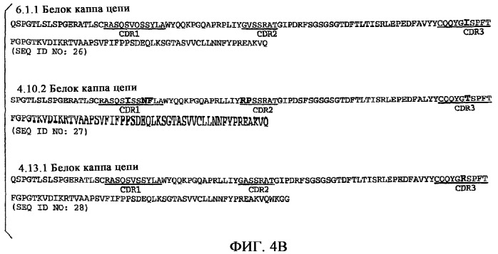 Применение антител к ctla-4 (патент 2346702)