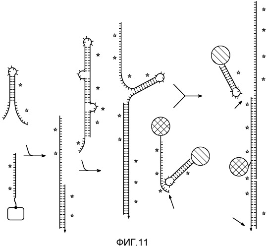 Молекулярная визуализация (патент 2529804)