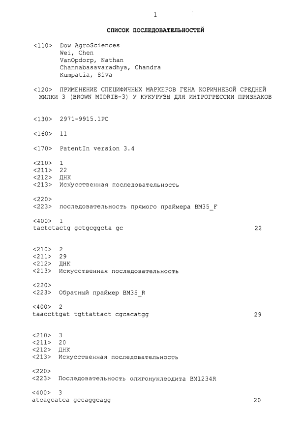 Применение специфических маркеров гена коричневой средней жилки 3 (brown midrib-3) у кукурузы для интрогрессии признаков (патент 2593958)