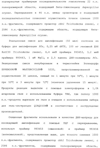 Клетка-хозяин trichoderma reesei для получения целлюлолитической белковой композиции, целлюлолитическая белковая композиция, способы ее получения и применения (патент 2494146)