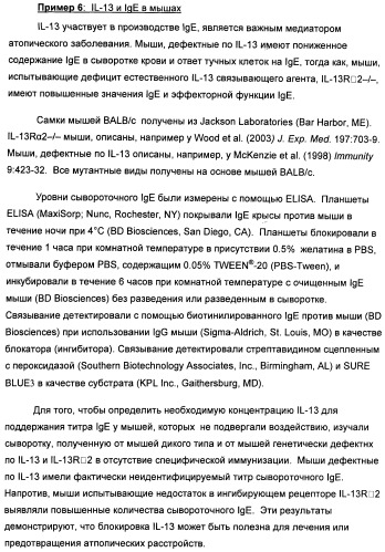 Il-13 связывающие агенты (патент 2434881)