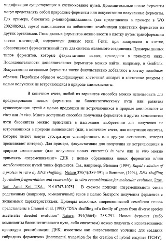 Система экспрессии компонентов ортогональной трансляции в эубактериальной клетке-хозяине (патент 2467069)