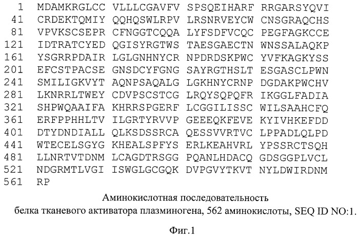 Рекомбинантная плазмидная днк рвк415, кодирующая полипептид рекомбинантного тканевого активатора плазминогена человека, линия клеток cricetulus griseus cho 1f8 - продуцент рекомбинантного тканевого активатора плазминогена человека и способ получения и выделения полипептида, обладающего активностью тканевого активатора плазминогена (патент 2500817)