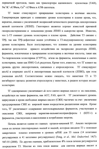 Новые фосфорсодержащие тиромиметики (патент 2422450)