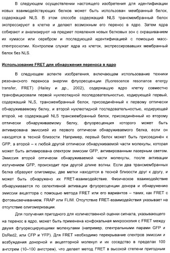 Способ идентификации соединений, взаимодействующих с трансмембранными белками (патент 2326166)