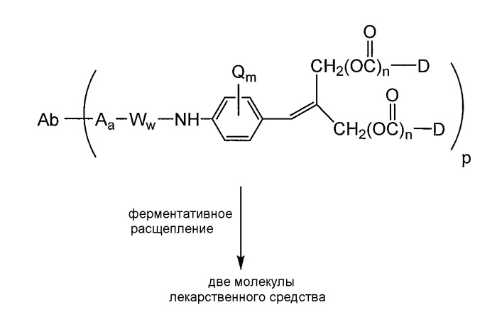 Анти-cd79b антитела и иммуноконъюгаты и способы их применения (патент 2511410)