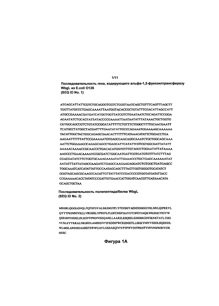 Новые фукозилтрасферазы и их применения (патент 2628307)