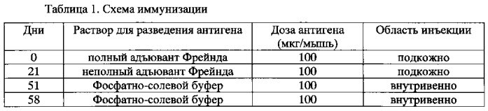 Штамм гибридных клеток животных mus musculus 1g7 - продуцент моноклональных антител, специфичных к ботулиническому токсину типа в (патент 2571208)