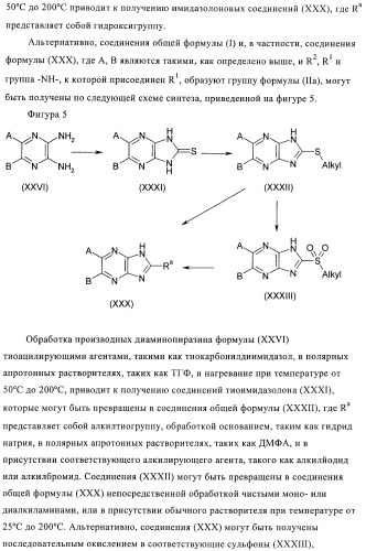 Производные пиразина, полезные в качестве антагонистов аденозинового рецептора (патент 2417994)