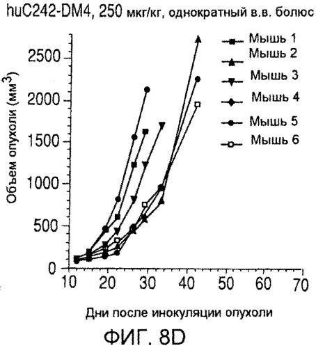 Иммуноконъюгаты, направленные на cd138, и их применение (патент 2547939)