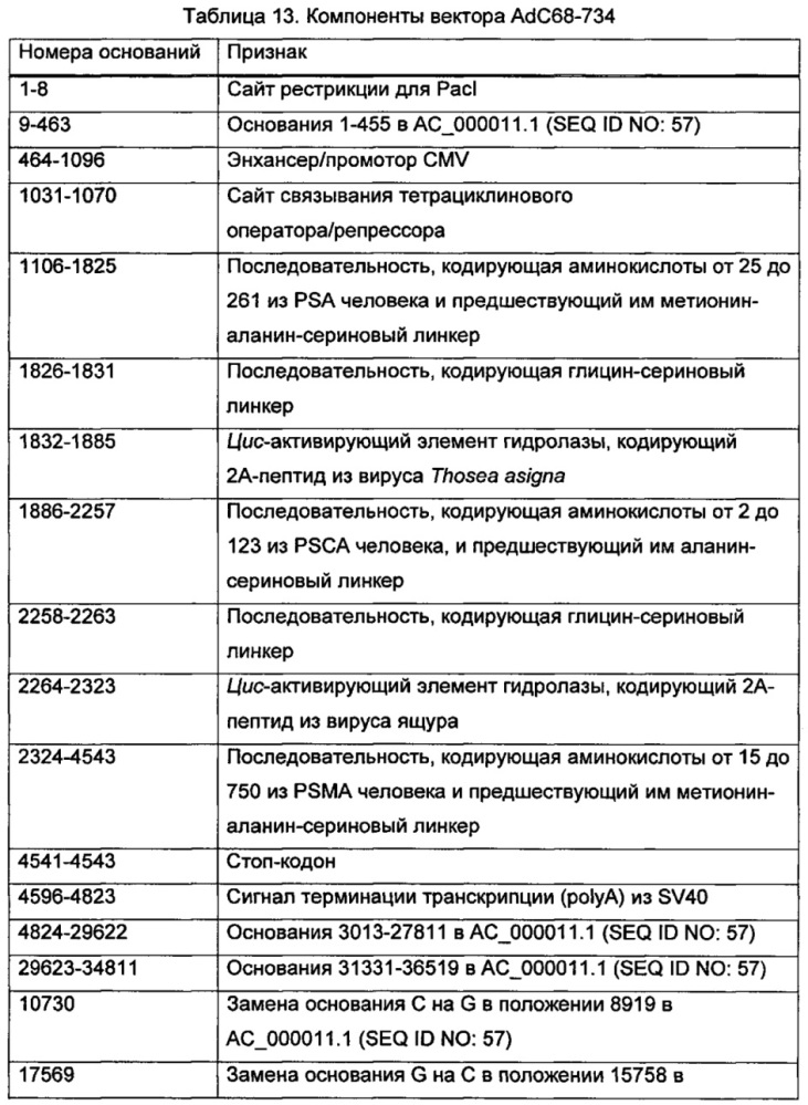 Векторы для экспрессии простатоассоциированных антигенов (патент 2650860)