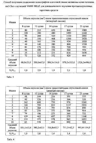 Способ получения подкожных ксенографтов клеточной линии меланомы кожи человека mel cher с мутацией v600e braf для доклинического изучения противоопухолевых таргетных средств (патент 2572569)