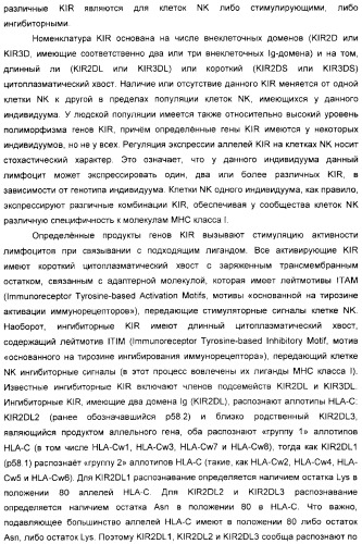 Антитела, связывающиеся с рецепторами kir2dl1,-2,-3 и не связывающиеся с рецептором kir2ds4, и их терапевтическое применение (патент 2410396)