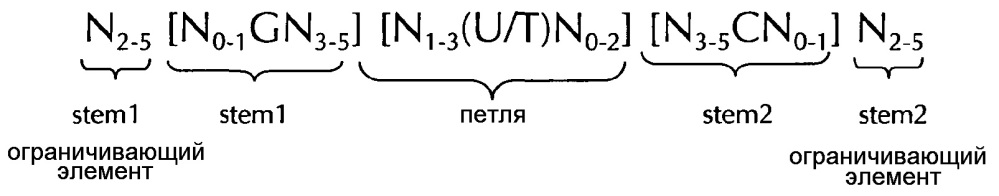 Нуклеиновая кислота, содержащая или кодирующая гистоновую структуру типа"стебель-петля" и поли(а)-последовательность или сигнал полиаденилирования, для увеличения экспрессии кодируемого опухолевого антигена (патент 2650795)