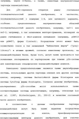 Ее3-семейство белков и соответствующие днк-последовательности (патент 2333918)