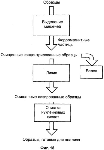 Универсальная система подготовки образцов и применение в интегрированной системе анализа (патент 2559541)