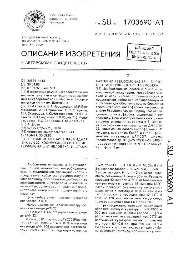 Рекомбинантная плазмидная днк @ 22, кодирующая синтез интерферона @ -11 человека, и штамм бактерии рsеudомоnаs sp. -продуцентинтерферона @ -11 человека (патент 1703690)