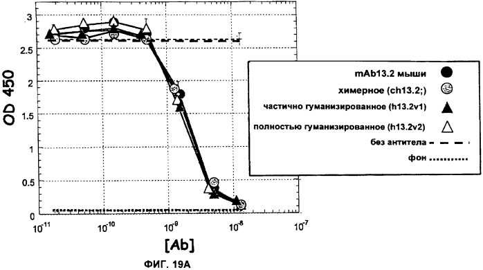 Антитела против интерлейкина-13 человека и их применение (патент 2427589)