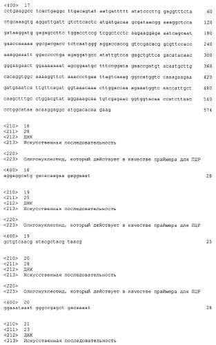 Растительные клетки и организмы растений с модифицированным клеточным ростом, развитием и дифференцировкой (патент 2349642)