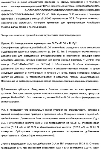 Способ получения полиненасыщенных кислот жирного ряда в трансгенных организмах (патент 2447147)