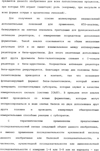 Ее3-семейство белков и соответствующие днк-последовательности (патент 2333918)