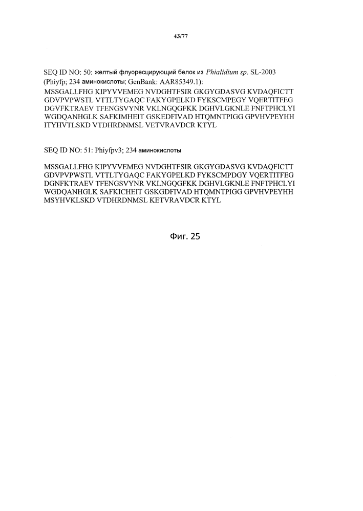 Конструкция и способ конструирования синтетического двунаправленного растительного промотора ubi1 (патент 2639538)
