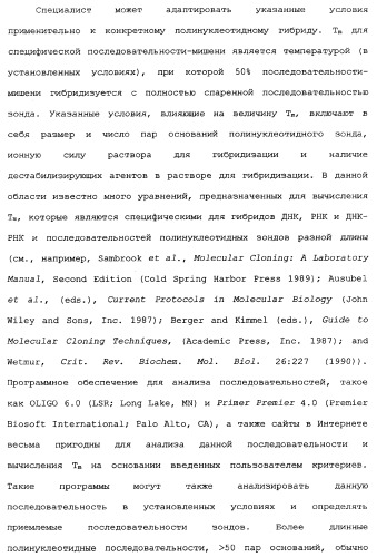 Новый лиганд рецептора цитокина zcytor17 (патент 2360923)