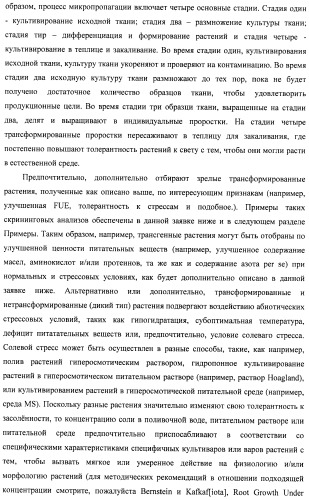 Изолированные полипептиды, кодирующие их полинуклеотиды, экспрессирующие их трансгенные растения и способы их использования (патент 2487166)