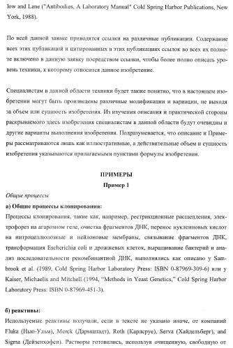 Молекулы нуклеиновых кислот, кодирующие wrinkled1-подобные полипептиды, и способы их применения в растениях (патент 2385347)