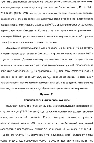 Способ модификации пищевого поведения и применение pyy или его агониста в качестве средства для модификации пищевого поведения (патент 2317104)