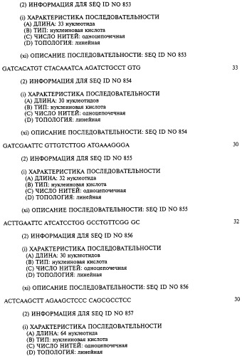 Гемопоэтический белок (варианты), последовательность днк, способ получения гемопоэтического белка, способ селективной экспансии кроветворных клеток, способ продуцирования дендритных клеток, способ стимуляции продуцирования кроветворных клеток у пациента, фармацевтическая композиция, способ лечения (патент 2245887)