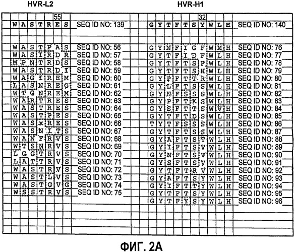 Гуманизированные антагонисты, направленные против c-met (патент 2398777)