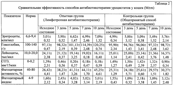 Способ лимфотропной антибиотикотерапии при воспалительных процессах органов мочевыделения у самок домашних плотоядных (патент 2435571)