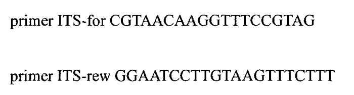 Набор синтетических олигонуклеотидов для амплификации и секвенирования its1-5.8s-its2 сосудистых растений (патент 2528063)