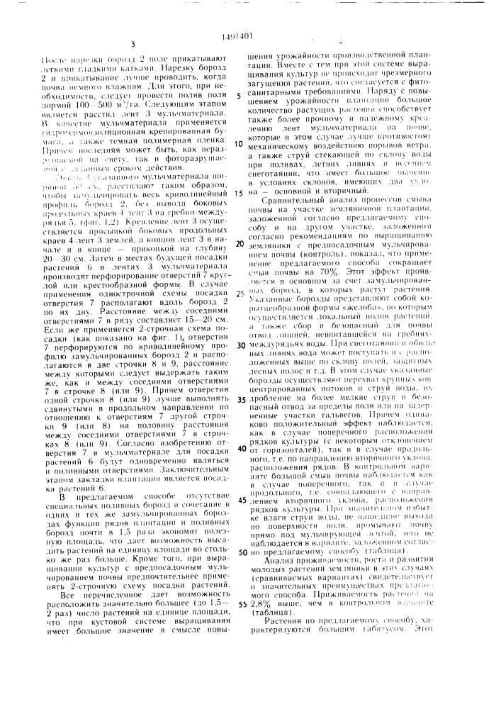 Способ закладки плантаций пропашных культур (патент 1491401)