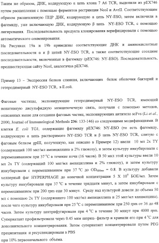 Экспонирование т-клеточных рецепторов (патент 2346004)