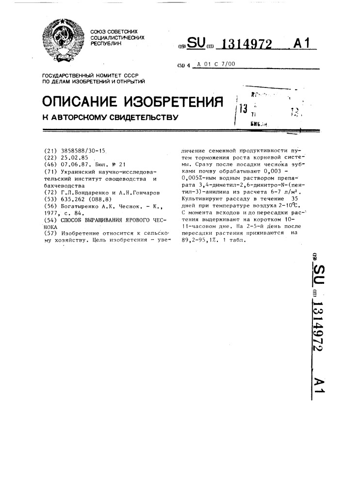 Способ выращивания ярового чеснока (патент 1314972)