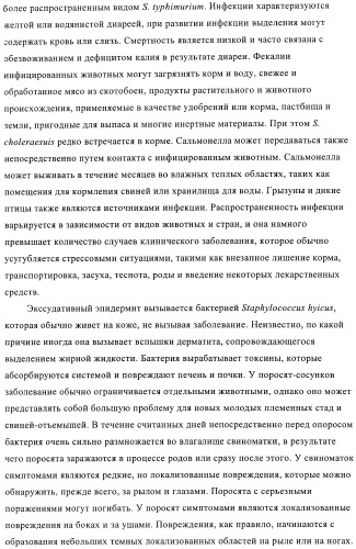 Иммуногенные композиции, содержащие lawsonia intracellularis (патент 2443430)