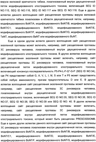 Способы лечения мочеполовых-неврологических расстройств с использованием модифицированных клостридиальных токсинов (патент 2491086)