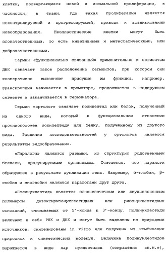 Новый лиганд рецептора цитокина zcytor17 (патент 2360923)