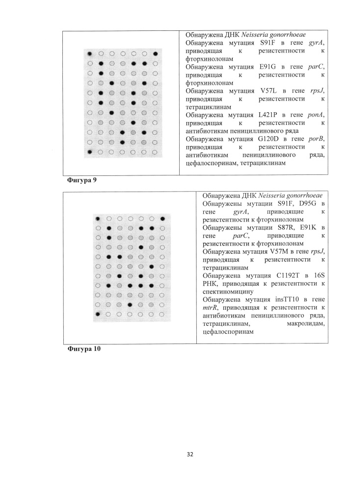 Олигонуклеотидный биочип для идентификации генетических детерминант резистентности neisseria gonorrhoeae к антимикробным препаратам, набор олигонуклеотидов, используемых для иммобилизации на биочипе (патент 2636457)