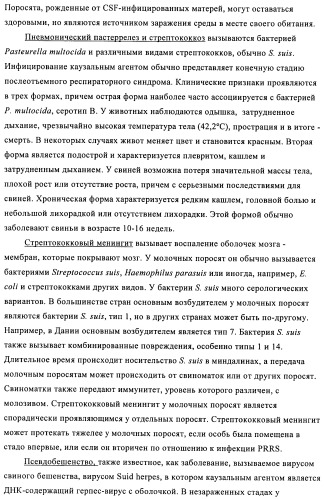 Поливалентные иммуногенные композиции pcv2 и способы получения таких композиций (патент 2488407)