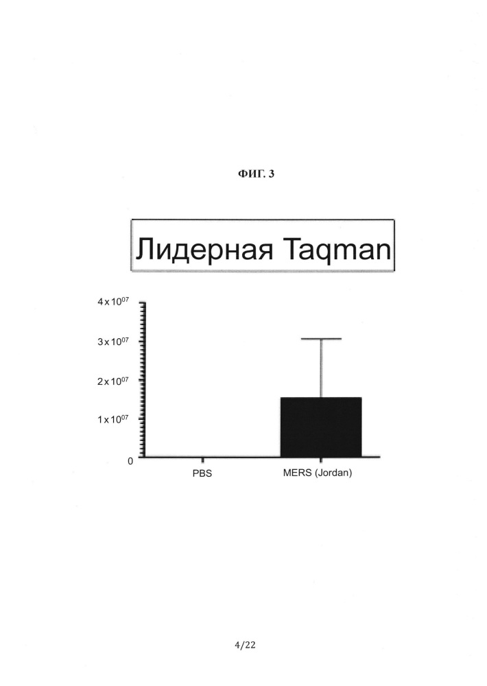 Животные, содержащие гуманизированную дипептидилпептидазу iv (dpp4) (патент 2648166)