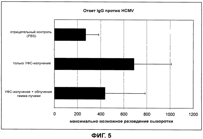 Композиция, содержащая частицы hcmv (патент 2505314)