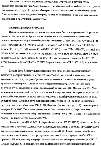Способ получения l-треонина с использованием бактерии, принадлежащей к роду escherichia, в которой инактивирован ген fhua (патент 2333955)