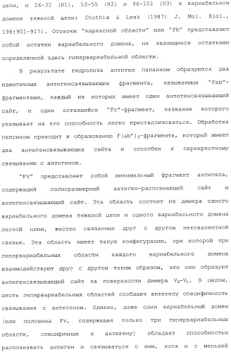 Антитела, сконструированные на основе цистеинов, и их конъюгаты (патент 2412947)