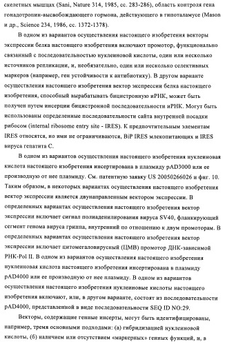 Способы и композиции для экспрессии антисмысловой вирусной рнк в клетках собаки (патент 2457250)