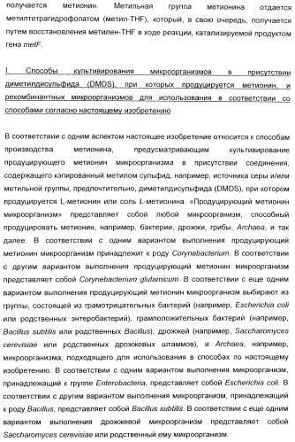 Применение диметилдисульфида для продукции метионина микроорганизмами (патент 2413001)